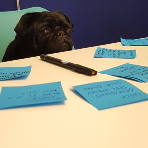 So Buzzy office dog Lola