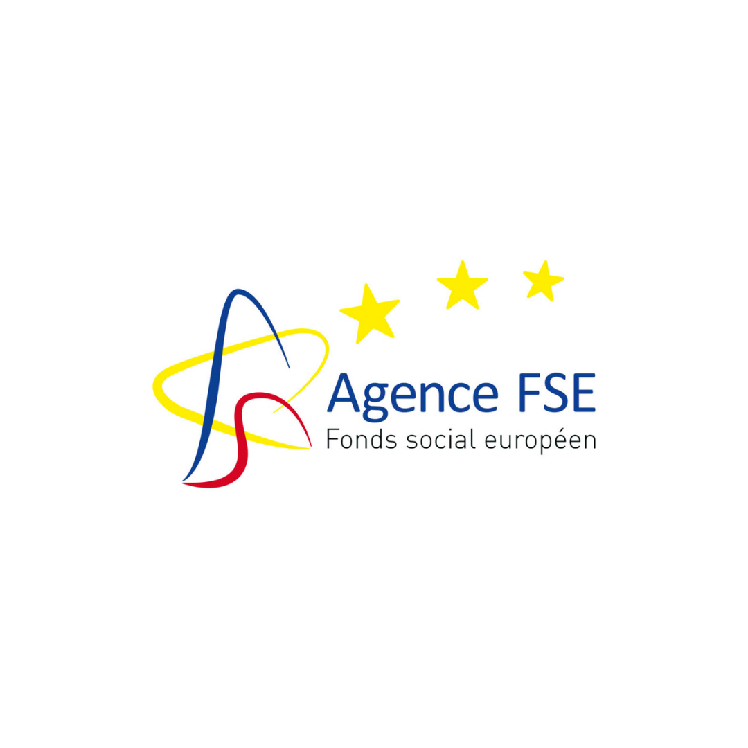 Agence FSE